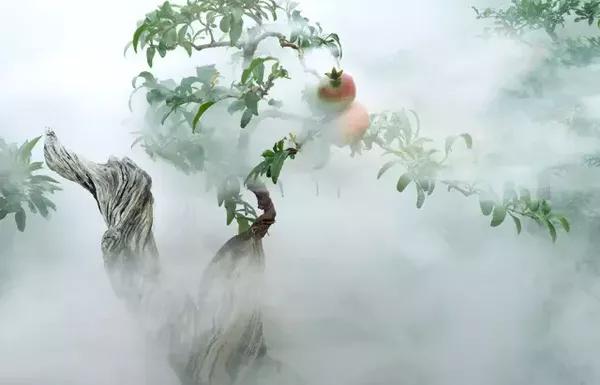 14951804785297.jpg