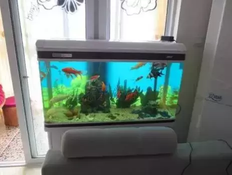 廚房是家裡的財庫!不想越住越窮「廚房裡千萬別放」這3樣東西 隨便中1樣「再富裕」也會越住也窮