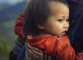 將來老了靠誰養？一個不忍心聽的故事，告訴你一個最真實的答案