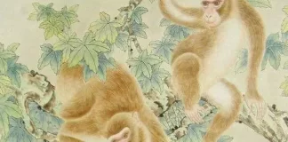 8月11日生肖運勢_猴、鼠、雞大吉 