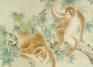 8月11日生肖運勢_猴、鼠、雞大吉 