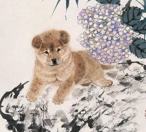 誰家有這6個生肖的人，未來20年，全家只富不窮
