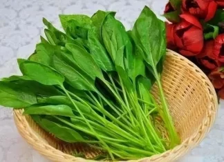 6種自帶「毒素」的蔬菜，食用前要焯水，為了孩子健康，別大意