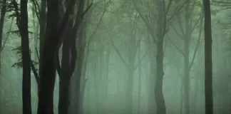 孝子上山掃墓時，驚見隔壁有自己一樣的名字！就順手清理拜祭，沒想到救了自己一命。善心人得善報，好人好事不妨多做