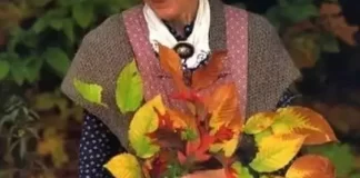  92歲老奶奶「隱居山林35年」活成仙女！沒電沒水親手「打造祕密花園」把生活過成了詩