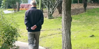 走路速度與壽命長短有關？走路姿勢可知身體好壞？愛走路的人看看
