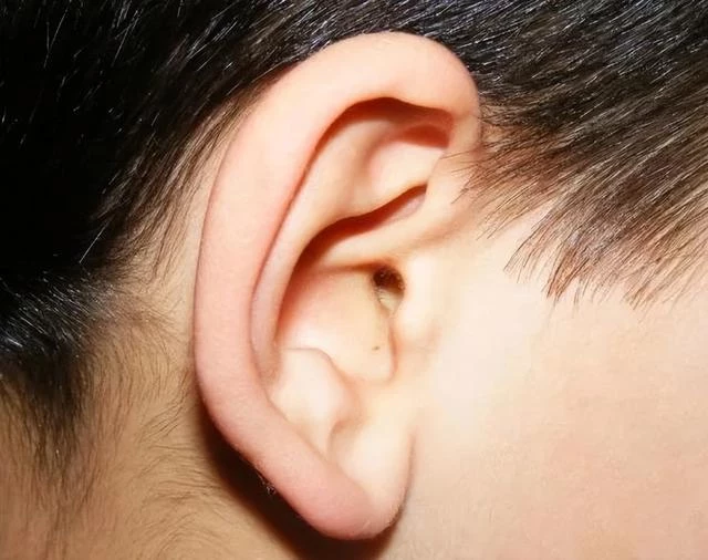 俗話說「善惡看嘴眼，窮富看手腳」，古人以此識人，究竟準不準？