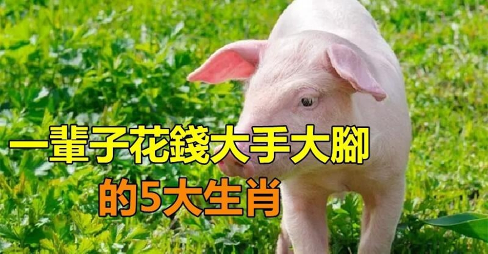 天生好命，一輩子花錢大手大腳的5大生肖，但命好多福總是衣食無憂