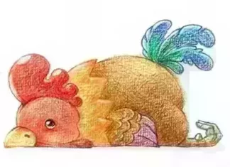 送給這5個生肖，快打開看看吧