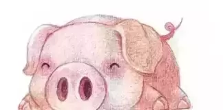 10月7日~10月13日八方來財，會突然暴富的生肖