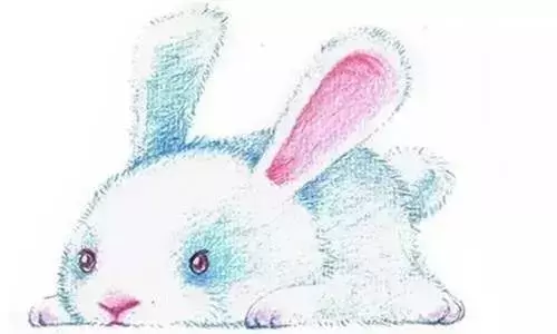 幸運！10月10日，中彩票大獎機率最高的6大生肖！
