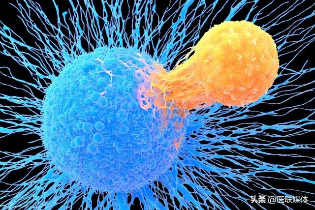 檸檬能殺死癌細胞，比化療效果更好？實話講，它確實有這2個好處