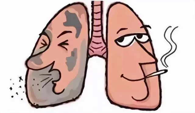 經常散步對肺有好處嗎？醫生提醒：肺喜歡3件事，建議平時常做
