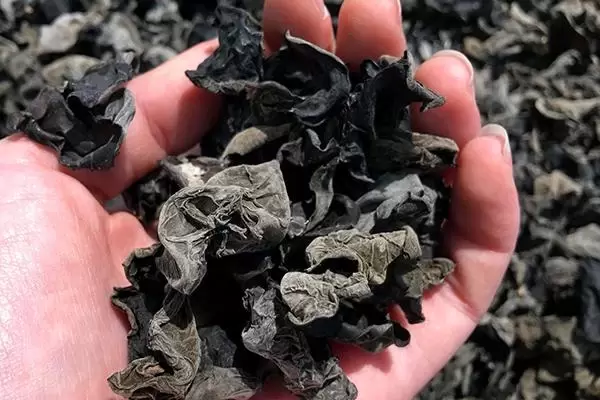 蹲久了，站起來會頭暈眼黑，是貧血，還是心臟出問題？快來看看