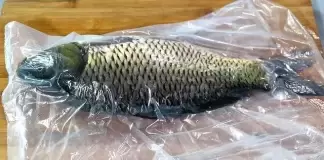 刮魚鱗原來這麼簡單，只需一個塑料袋，不飛濺不髒手，又快又乾淨
