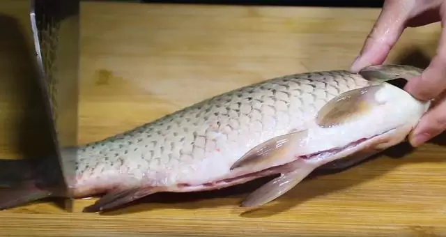刮魚鱗原來這麼簡單，只需一個塑料袋，不飛濺不髒手，又快又乾淨
