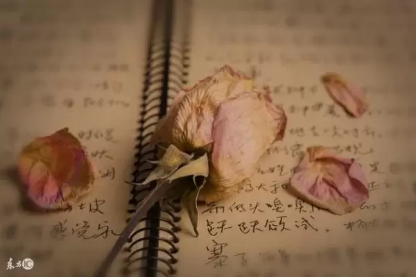 婆婆去世後一個月，公公娶了保姆，婚禮上老公放一段錄音，新娘當場要瘋了