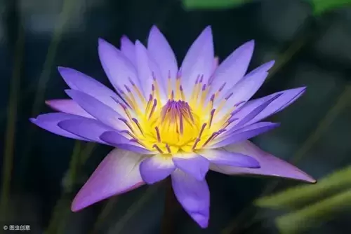 10月23號，六個生肖請接財，你接了你就發 