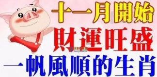 十一月開始財運旺盛,一帆風順的生肖