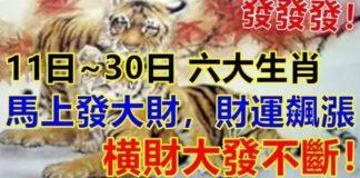 發發發!11月下旬(11日~30日),財運飆漲的生肖!
