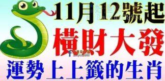 11月12號開始橫財大發,運勢上上籤的生肖