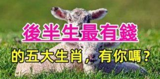 有富貴命!後半生最有錢的5大生肖 「先吃苦後享福」晚年生活超幸福!