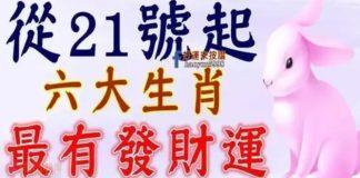在21號開始最有發財運的生肖