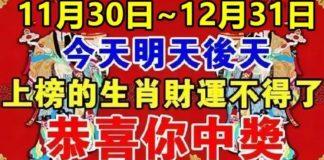 11月30日~12月31日:財運一路順暢,總有福星臨門的生肖