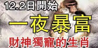 12月2號開始財神爺獨寵,有望一夜暴富的生肖