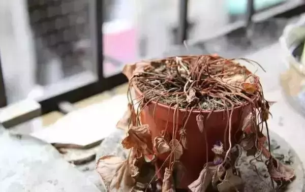 如果你身邊沒有出現這幾種現象，恭喜你，馬上要走大運了!!!