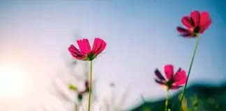 要注意明年黑兔年60年一遇,這3種人一定要穿紅,才能消弭災禍,吉祥降臨
