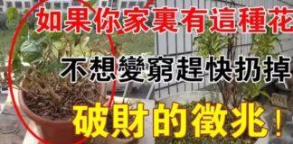 如果你身邊沒有出現這幾種現象,恭喜你,馬上要走大運了!!!