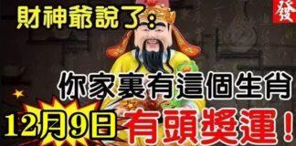 財神爺說了:12月9日有頭獎運的生肖,你家有幾個呢?