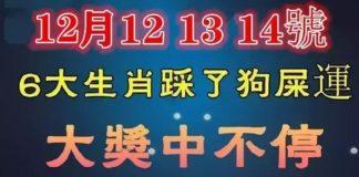 12月12、13、14號大獎中不停,踩了狗屎運的生肖。
