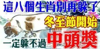 這八個生肖別再躲了,冬至節開始一定躲不過中頭獎