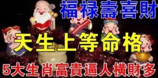 福祿壽喜財,五大生肖天生上等命格,富貴逼人橫財多