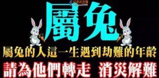 屬兔的人這一生遇到劫難的年齡,請為他們轉走消災解難