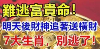 難逃富貴命,明天後財神追著送橫財,七大生肖別逃了