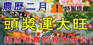 農曆二月財運旺盛,頭獎運大旺,招財進寶的生肖