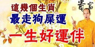 這幾個生肖最走狗屎運,一生好運相伴
