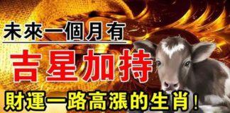 未來一個月有吉星加持,財運一路高漲的生肖