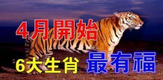 4月開始最有福的六大生肖