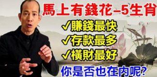 馬上有錢花的五大生肖
