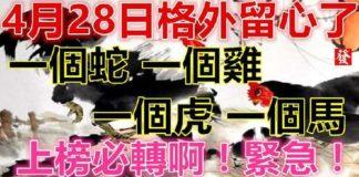 4月28日要格外留心了,一個蛇,一個雞,一個虎,一個馬必須轉啊