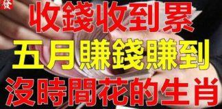 收錢收到累,五月賺錢賺到沒時間花的生肖!