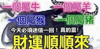 一個屬牛,一個屬羊,一個屬猴,一個屬豬今天轉走唄,財運順順來