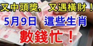 5月9日又中頭獎,又遇橫財,數錢忙的生肖