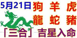5月21日生肖運勢_狗、羊、虎大吉