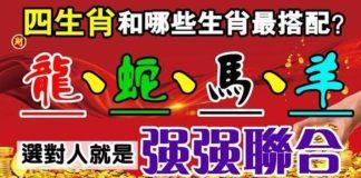 (龍.蛇.馬.羊)和哪些生肖最搭配?選對人就是強強聯合