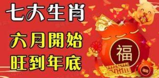 七大生肖,六月開始旺到年底